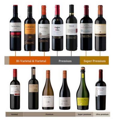 Concha y toro wines image